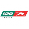 Puma Energy Expertini